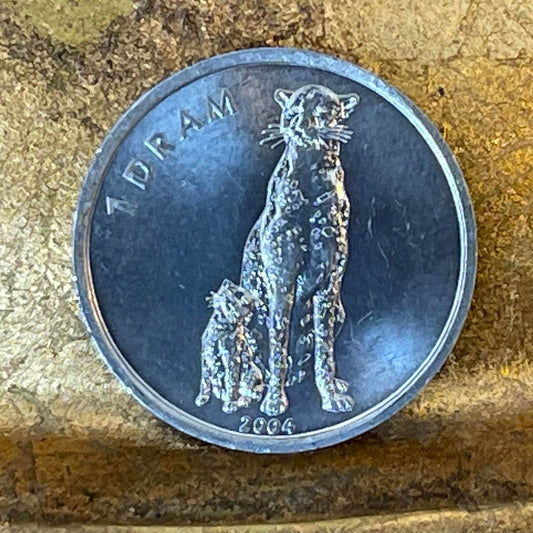 Cheetah w/ Cub Nagorno-Karabakh 1 Dram Authentic Coin for Jewelry and Craft Making