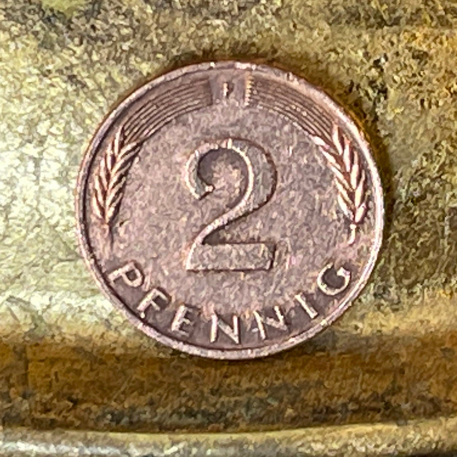 Oak Seedling 2 Pfennig German Authentic Coin Money for Jewelry and Craft Making