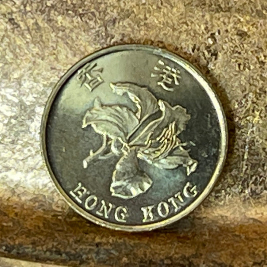 Bauhinia Orchid 10 Cent Hong Kong Authentic Coin Money for Jewelry and Craft Making