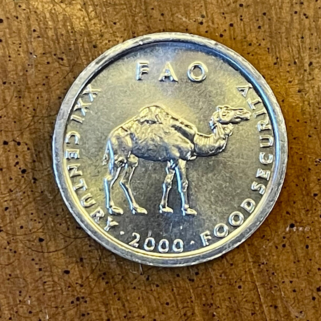 Camel Somalia 10 Shillings Authentic Coin Money for Jewelry and Craft Making