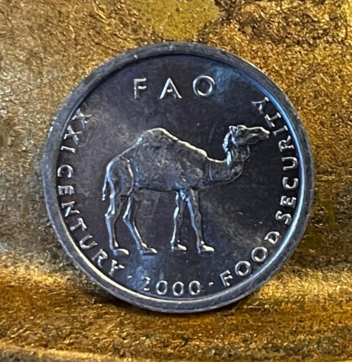 Camel Somalia 10 Shillings Authentic Coin Money for Jewelry and Craft Making