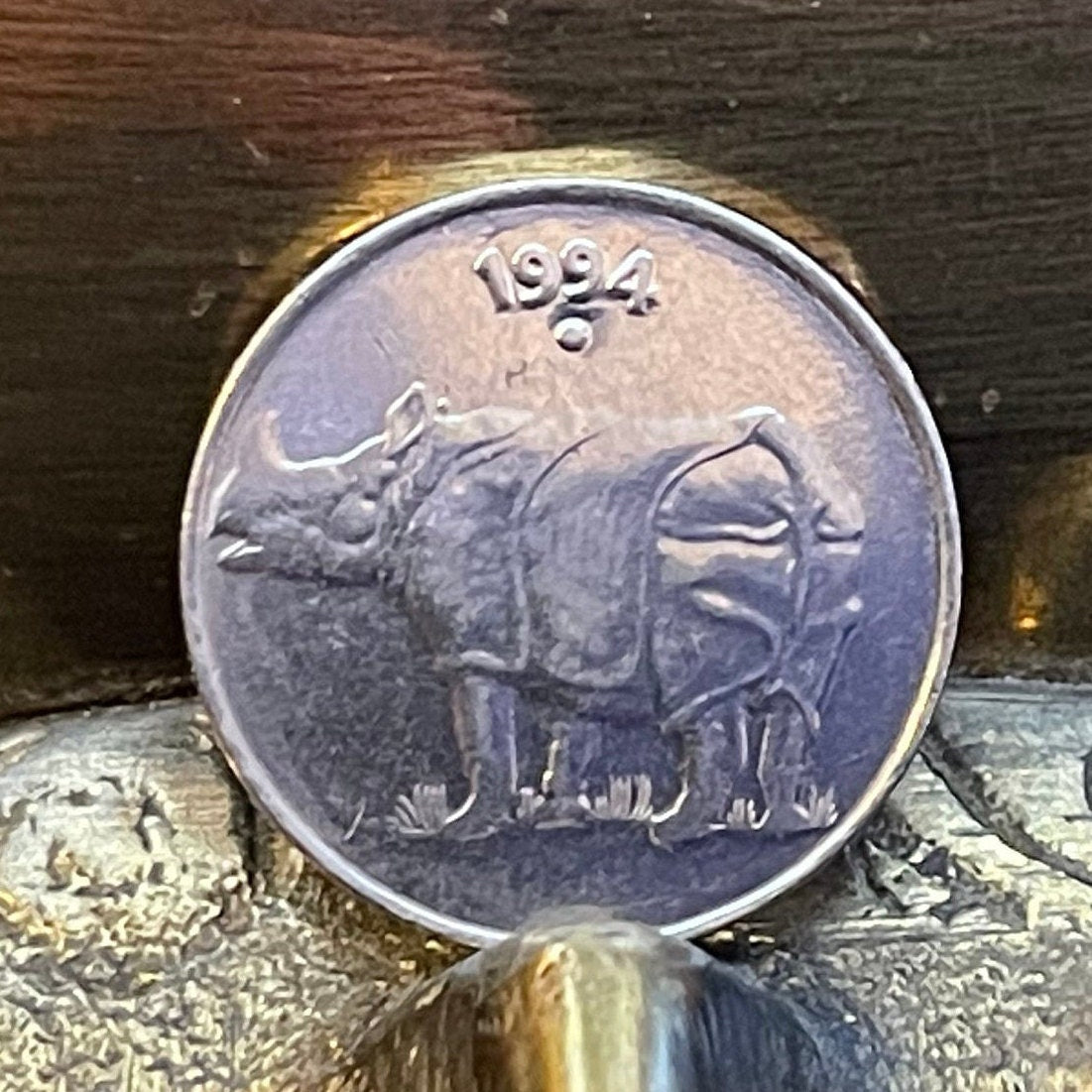Rhinoceros & Ashoka Lion Capitol India 25 Paise Authentic Coin Money for Jewelry and Craft Making