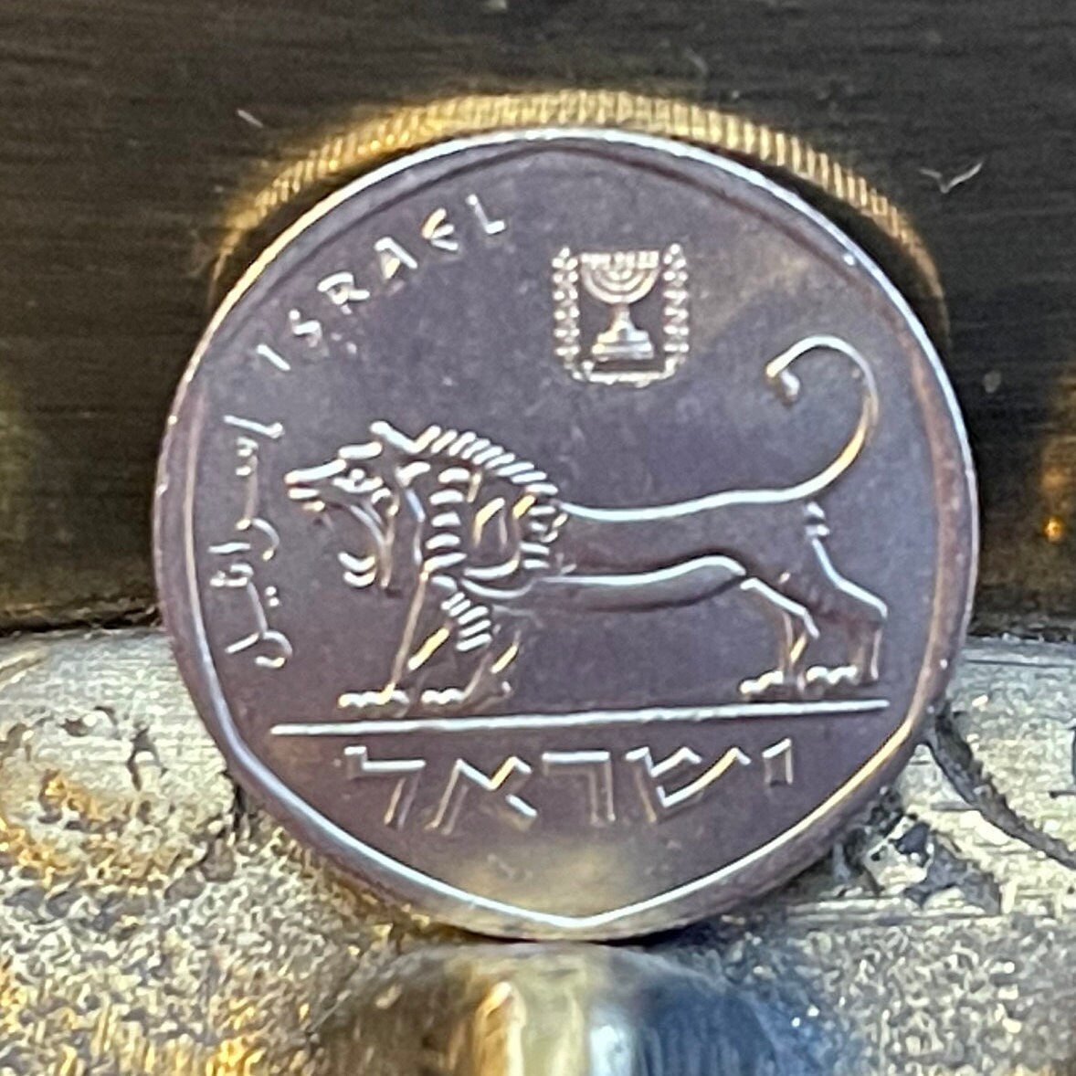 Lion & Menorah Israel 1/2 Sheqel "Seal of Shema" Authentic Coin Money for Jewelry and Craft Making (Shekel)