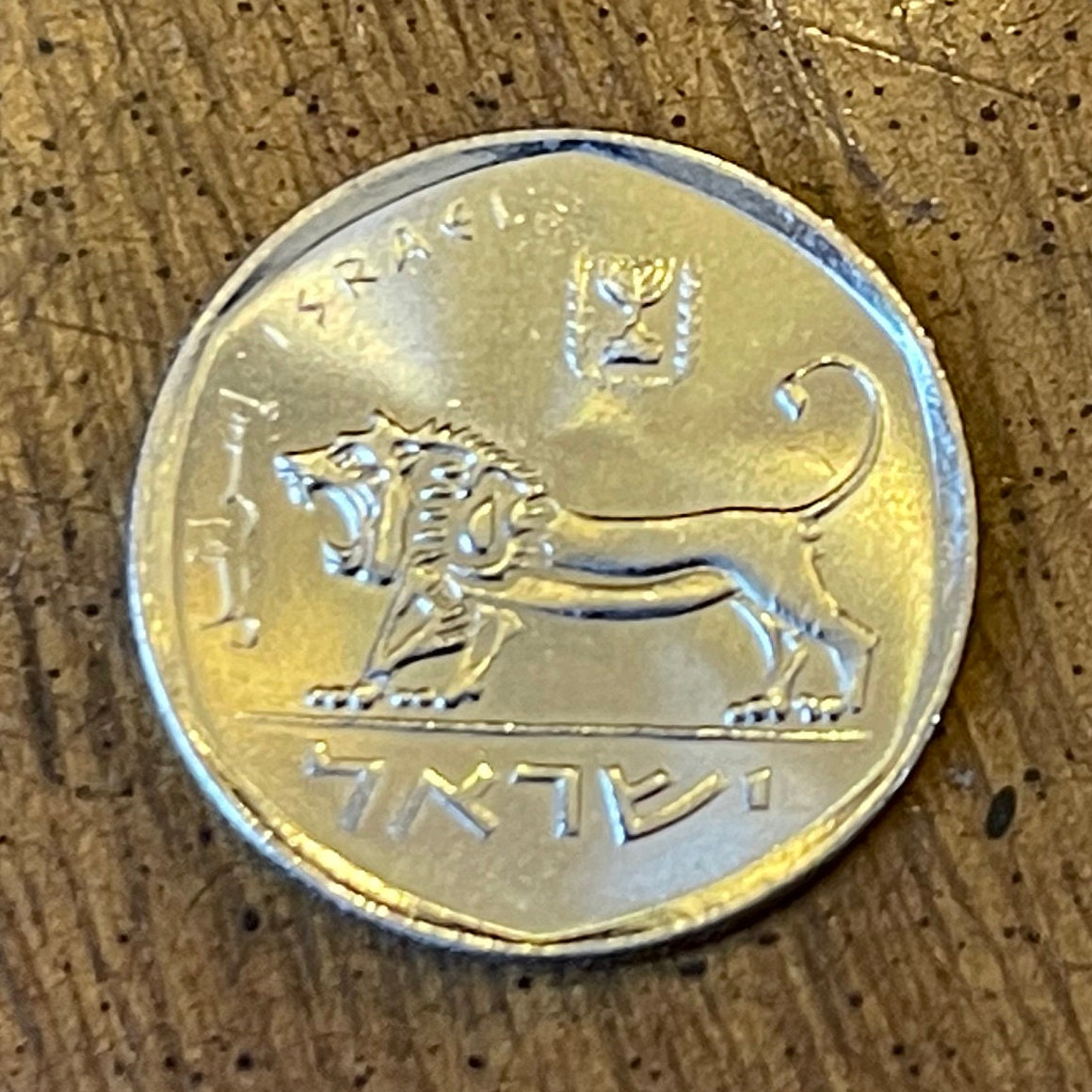 Lion & Menorah Israel 1/2 Sheqel "Seal of Shema" Authentic Coin Money for Jewelry and Craft Making (Shekel)