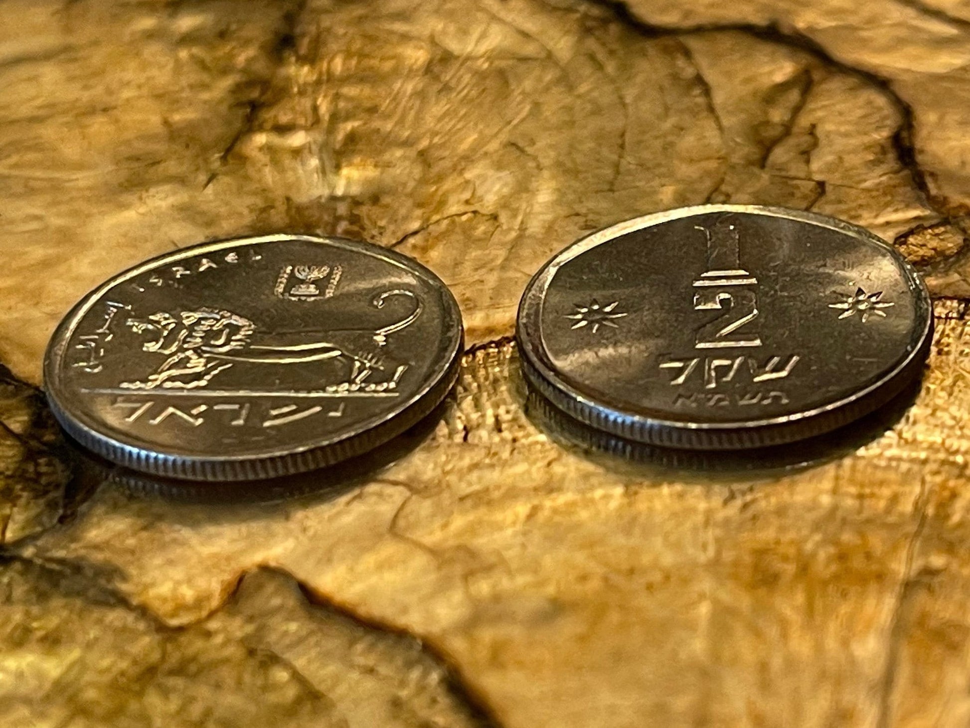 Lion & Menorah Israel 1/2 Sheqel "Seal of Shema" Authentic Coin Money for Jewelry and Craft Making (Shekel)