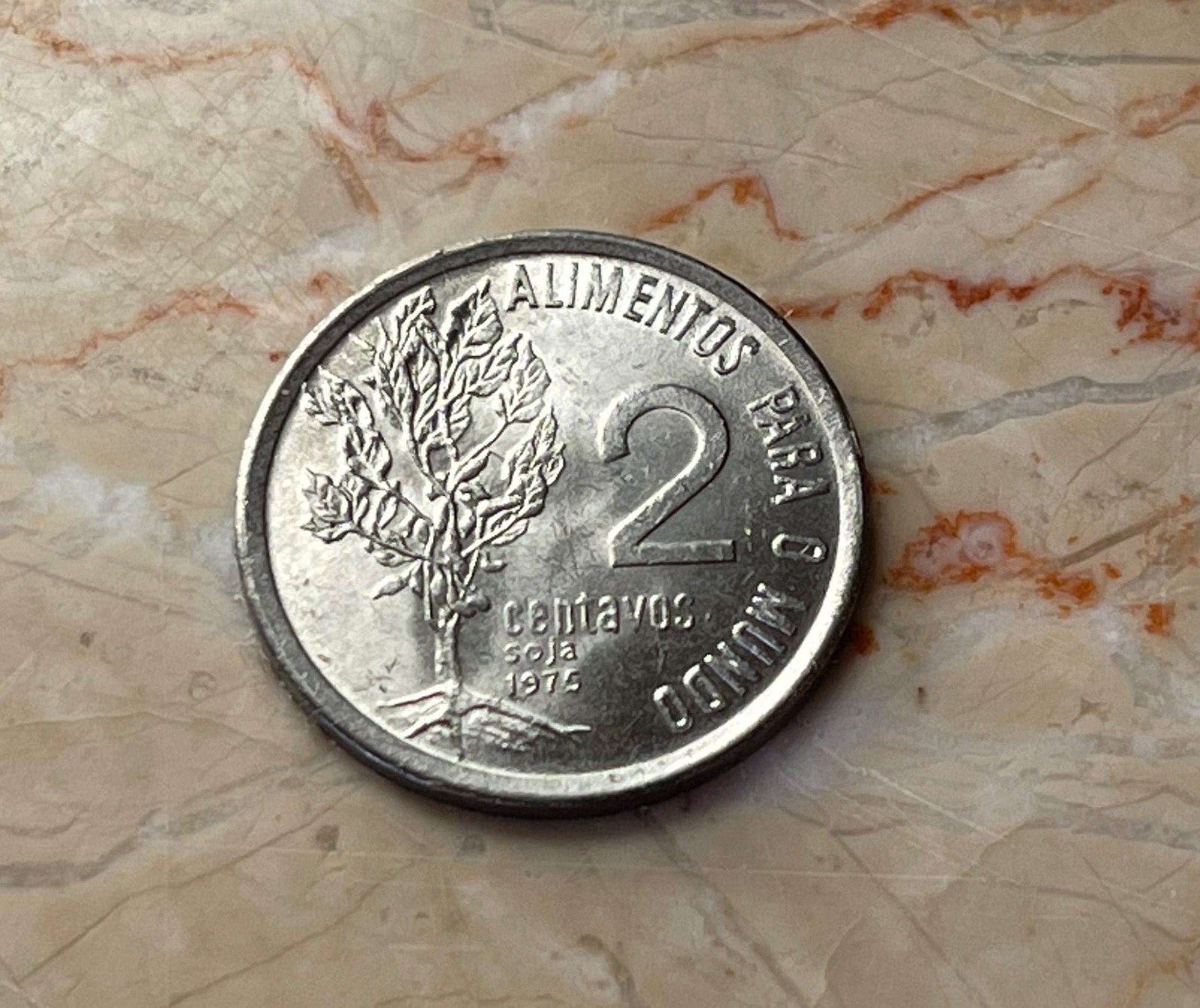 Soy Bean Plant "Food for the World" Brazil Authentic Coin Money 2 Centavos for Jewelry and Craft Making