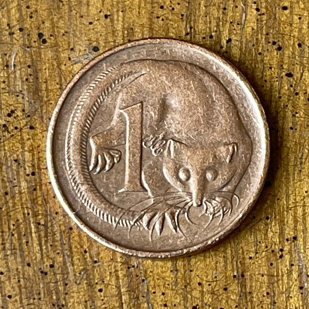 Feathertail Glider 1 Cent Australia Authentic Coin Money for Jewelry and Craft Making 1987