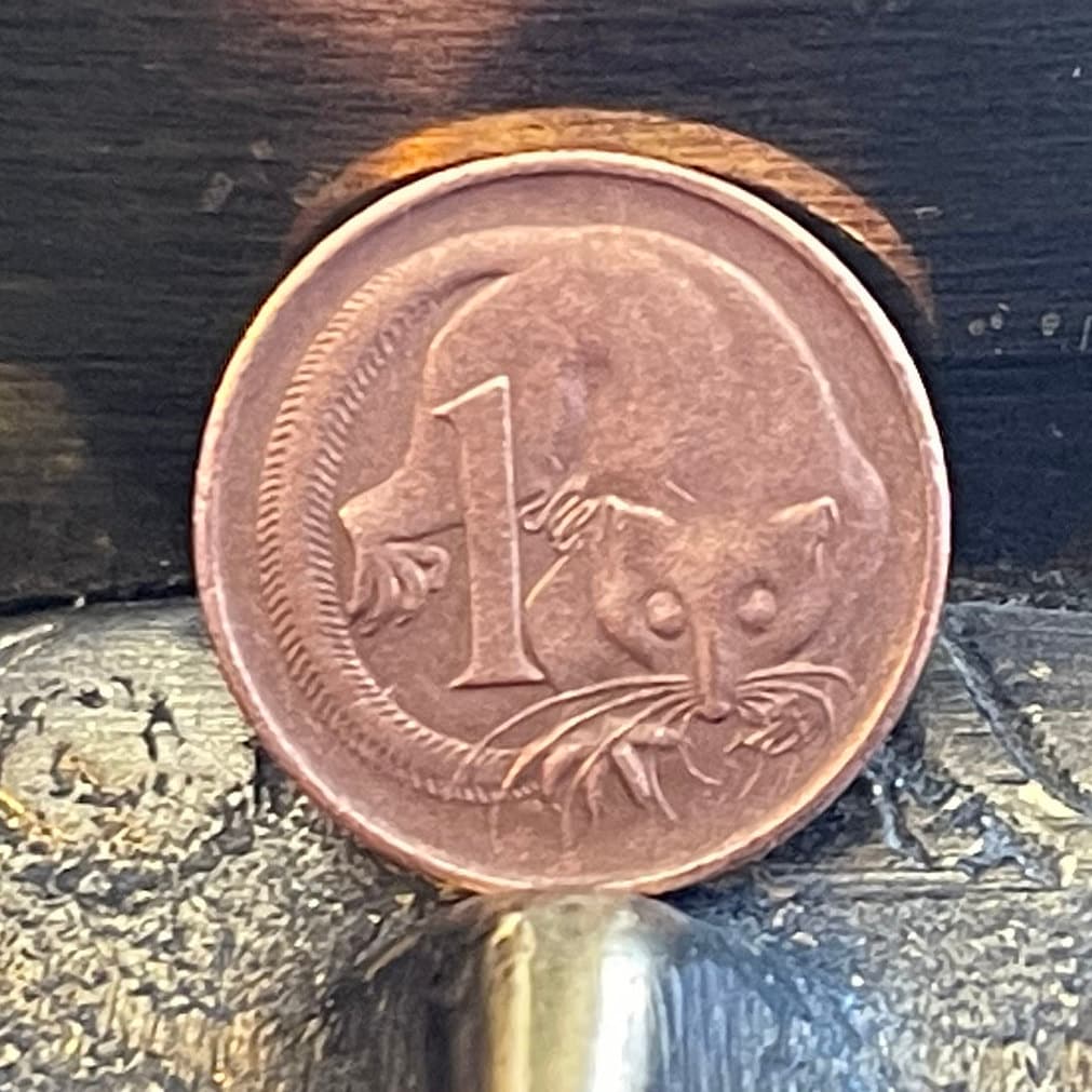 Feathertail Glider 1 Cent Australia Authentic Coin Money for Jewelry and Craft Making 1987