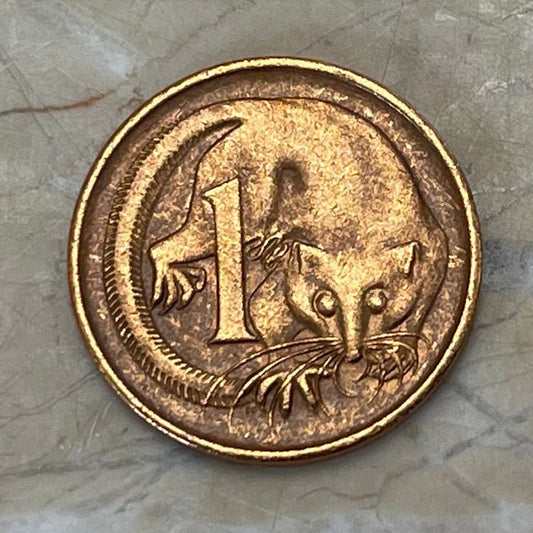 Feathertail Glider 1 Cent Australia Authentic Coin Money for Jewelry and Craft Making 1987