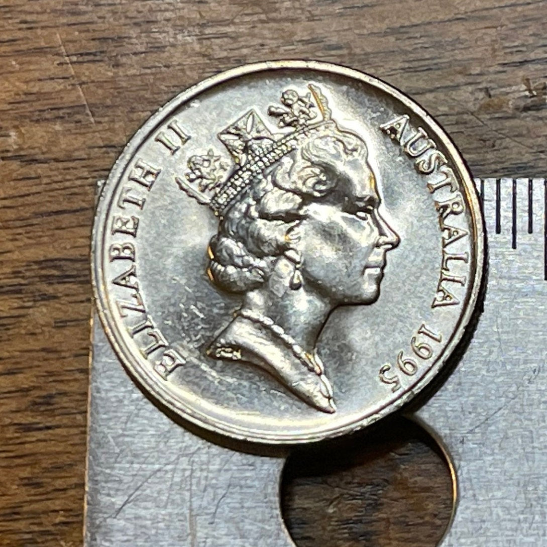Spiny Anteater 5 Cents Australia Authentic Coin Money for Jewelry and Craft Making (Echidna) 2017