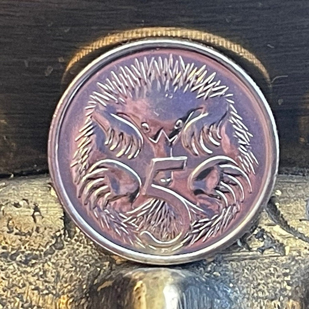 Spiny Anteater 5 Cents Australia Authentic Coin Money for Jewelry and Craft Making (Echidna) 2017