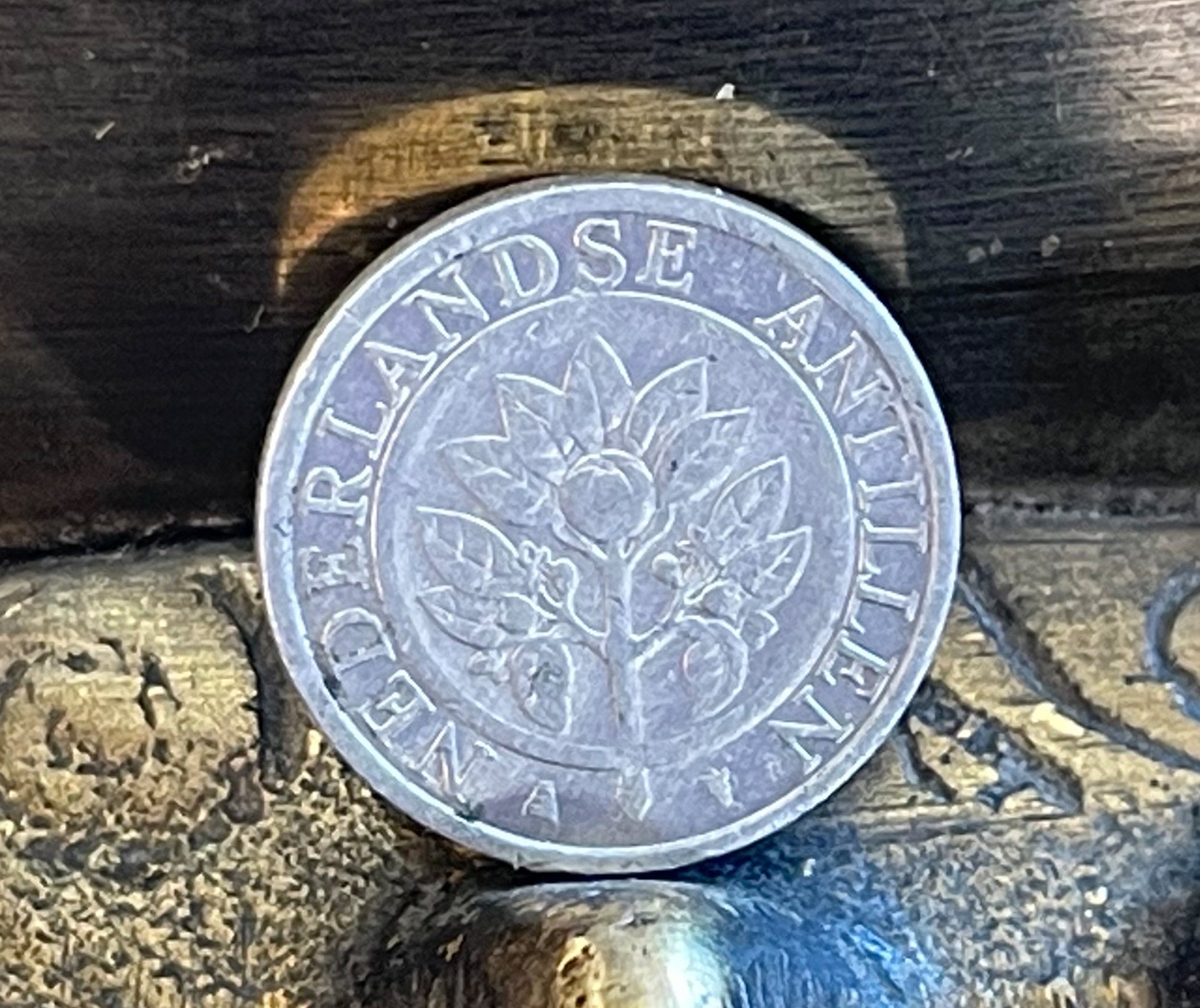 Curaçao Orange 5 Cents Netherlands Antilles Authentic Coin Money for Jewelry and Craft Making (Curaçao Liqueur) (Triple Sec) (Witbier)