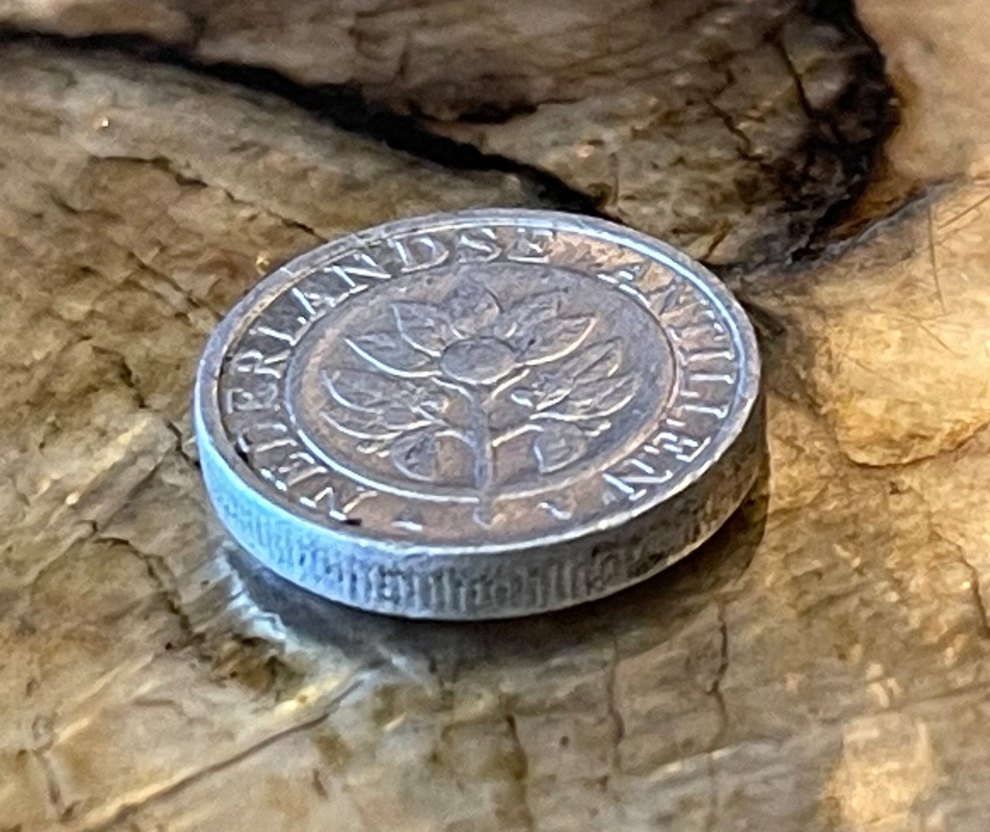 Curaçao Orange 5 Cents Netherlands Antilles Authentic Coin Money for Jewelry and Craft Making (Curaçao Liqueur) (Triple Sec) (Witbier)