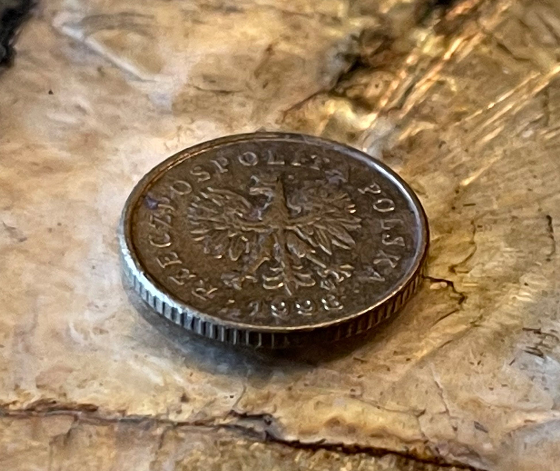 Oak Leaf Poland Authentic Coin Money 1 Grosz for Jewelry and Craft Making