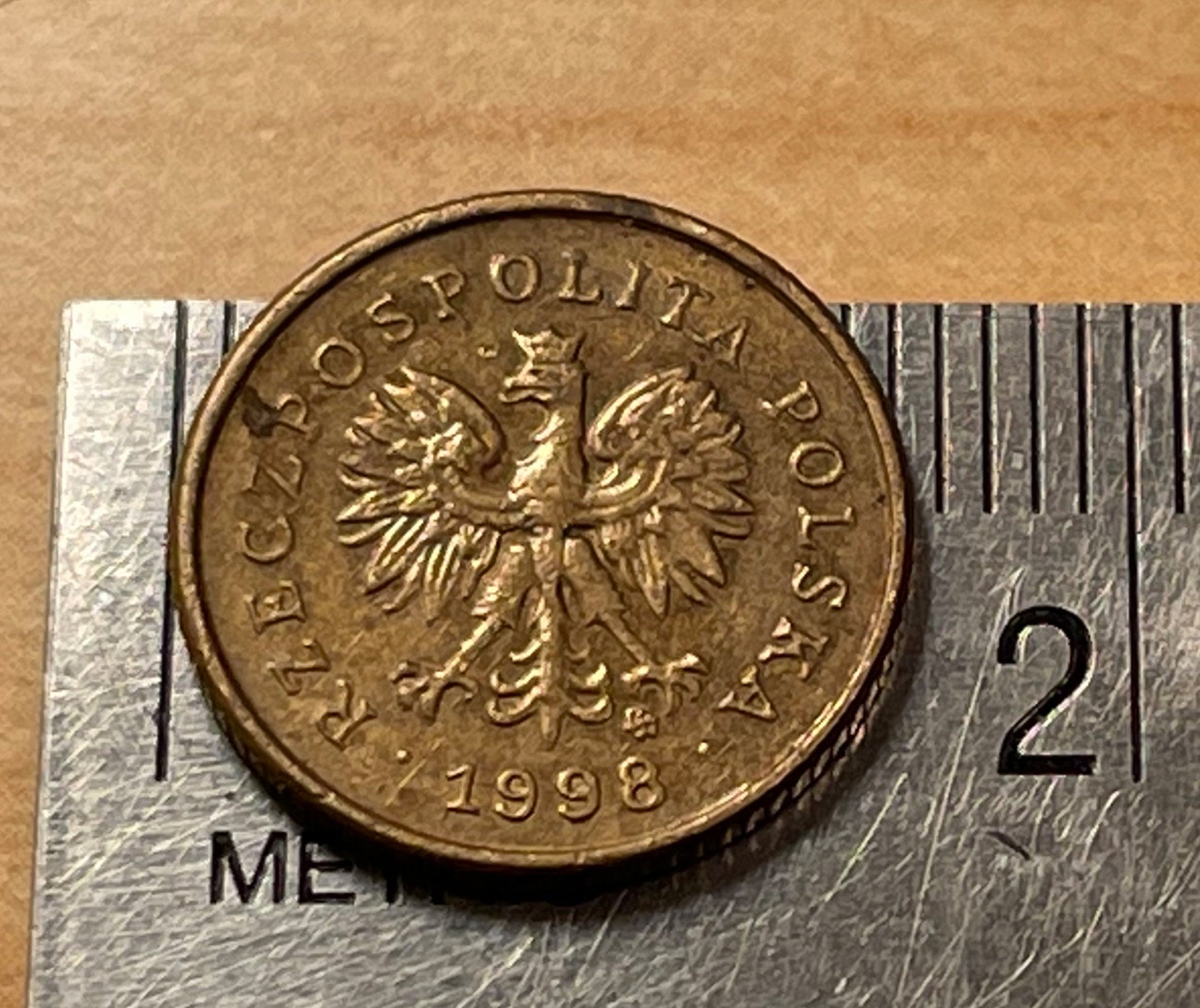 Oak Leaf Poland Authentic Coin Money 1 Grosz for Jewelry and Craft Making