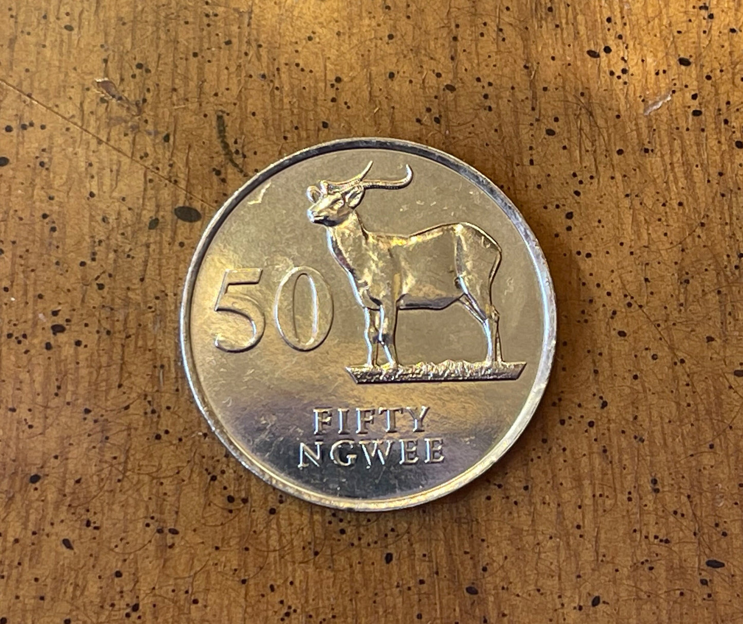Antelope "Kafue Lechwe" 50 Ngwee Zambia Authentic Coin Money for Jewelry and Craft Making
