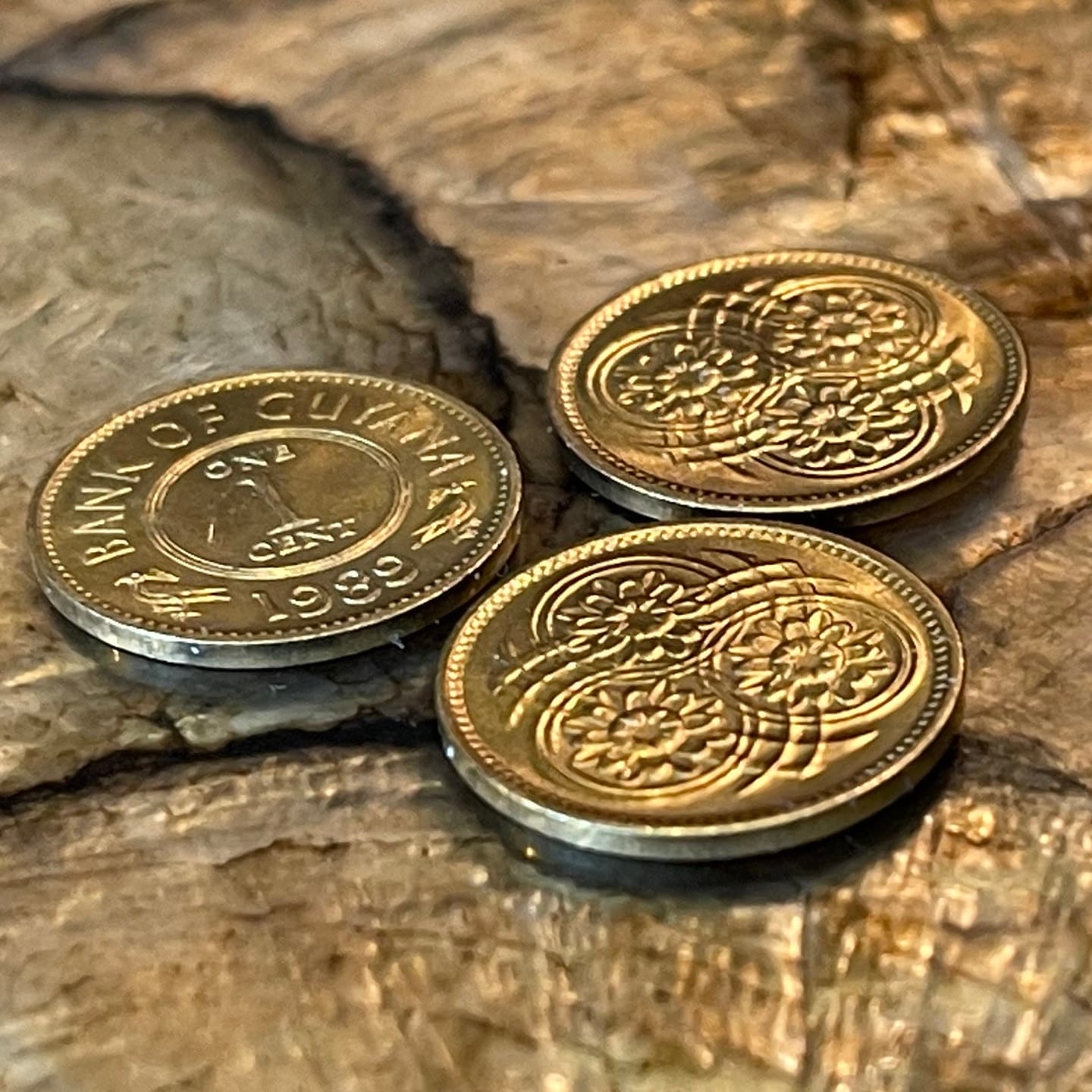 Lotus Flowers 1 Cent Guyana Authentic Coin Money for Jewelry and Craft Making