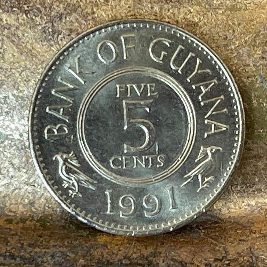 Lotus Flowers 5 Cents Guyana Authentic Coin Money for Jewelry and Craft Making