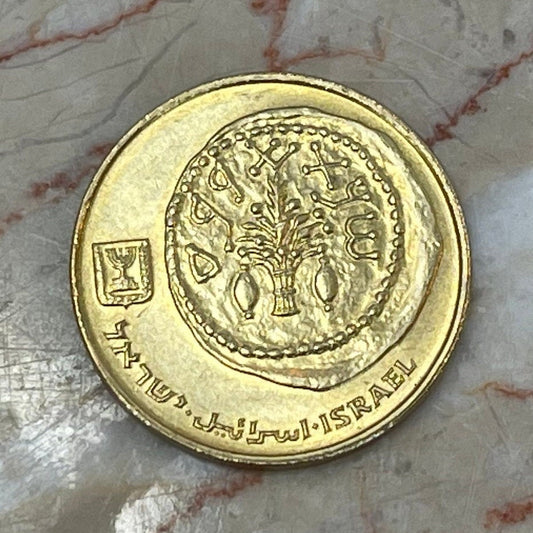 Sukkot 5 Agorot Israel Authentic Coin Money for Jewelry and Craft Making (Menorah)