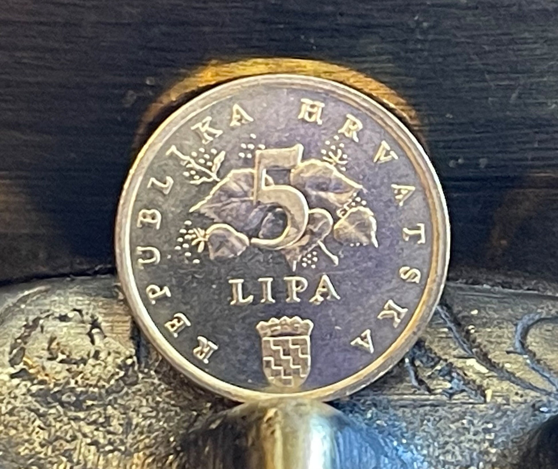 Red Oak Branch Croatia Authentic Coin Money 5 Lipa for Jewelry and Craft Making