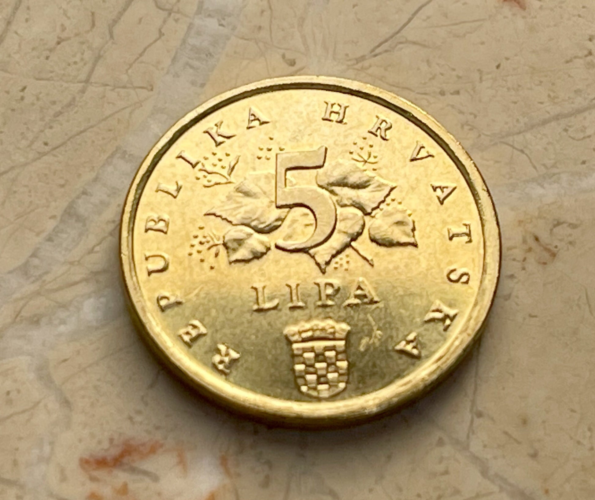 Red Oak Branch Croatia Authentic Coin Money 5 Lipa for Jewelry and Craft Making