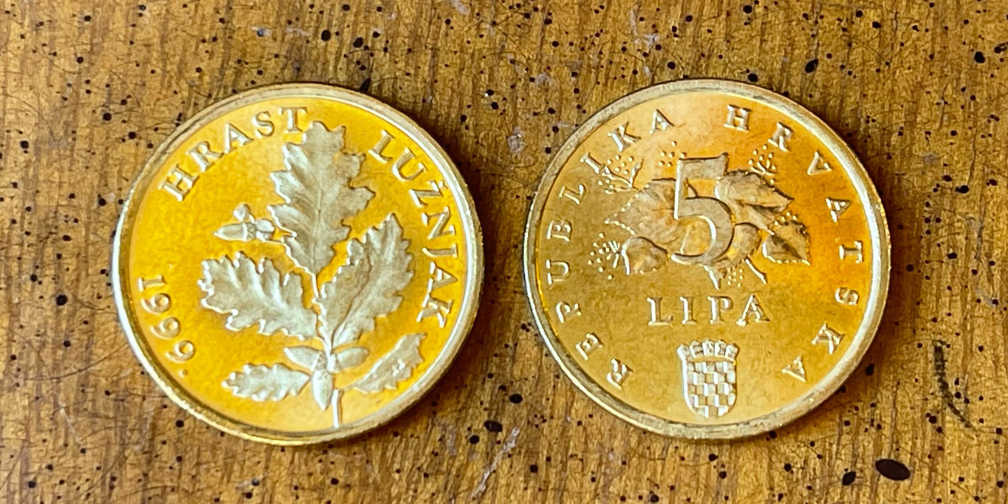 Red Oak Branch Croatia Authentic Coin Money 5 Lipa for Jewelry and Craft Making