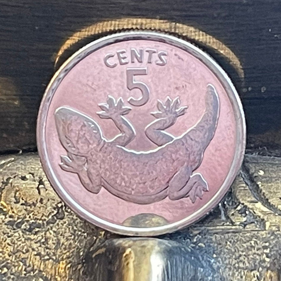 Tokay Gecko 5 Cents Kiribati Authentic Coin Money for Jewelry and Craft Making