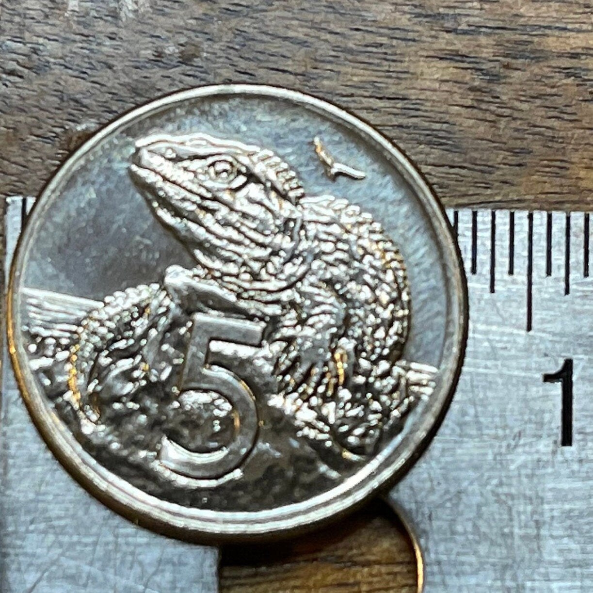 Tuatara 5 Cents New Zealand Authentic Coin Money for Jewelry and Craft Making