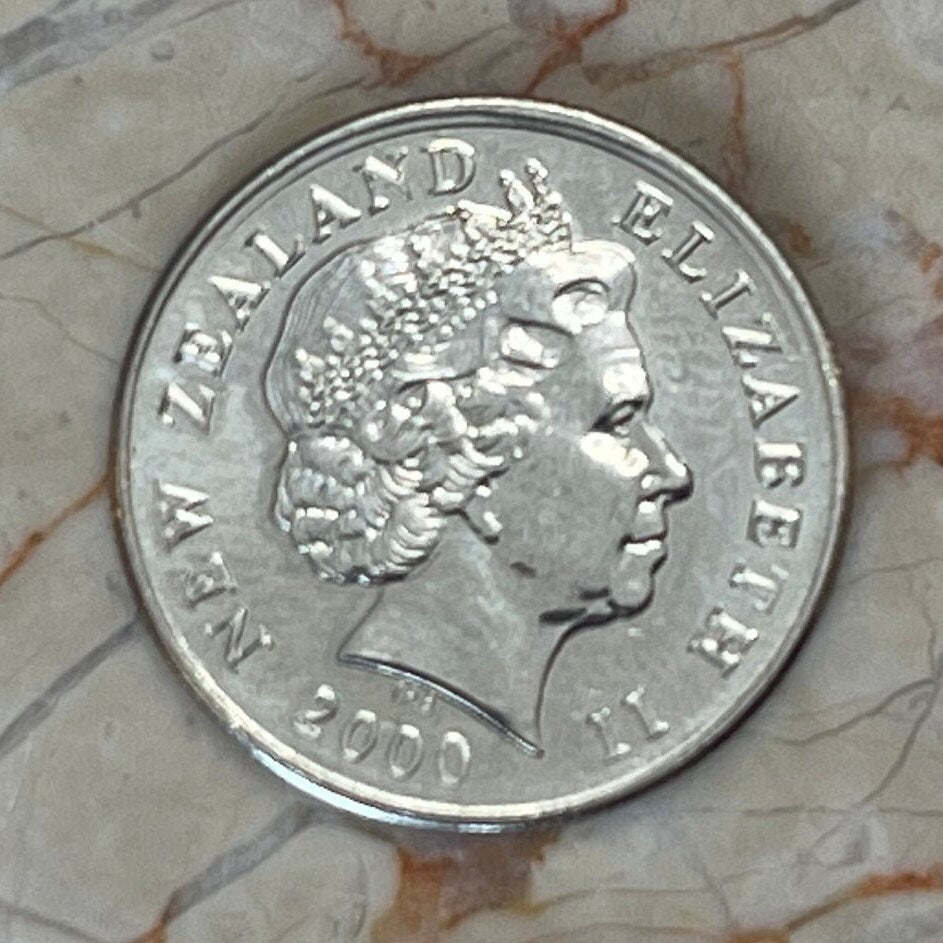 Tuatara 5 Cents New Zealand Authentic Coin Money for Jewelry and Craft Making