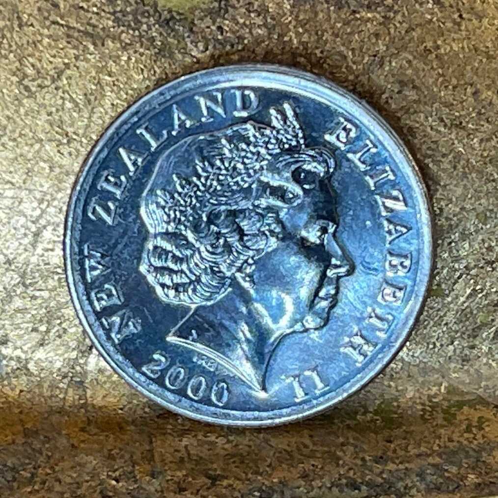 Tuatara 5 Cents New Zealand Authentic Coin Money for Jewelry and Craft Making