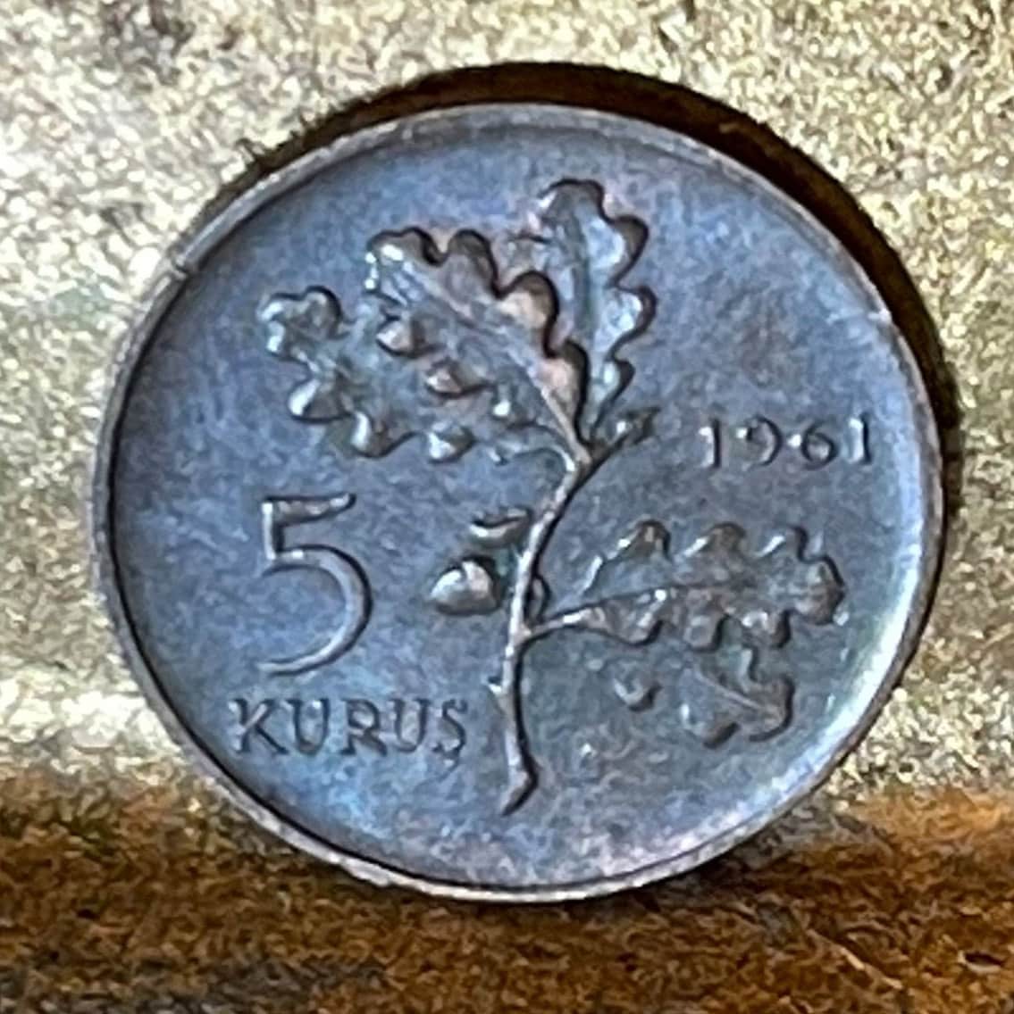 Oak Branch Turkey 5 Kurus Authentic Coin Money for Jewelry and Craft Making