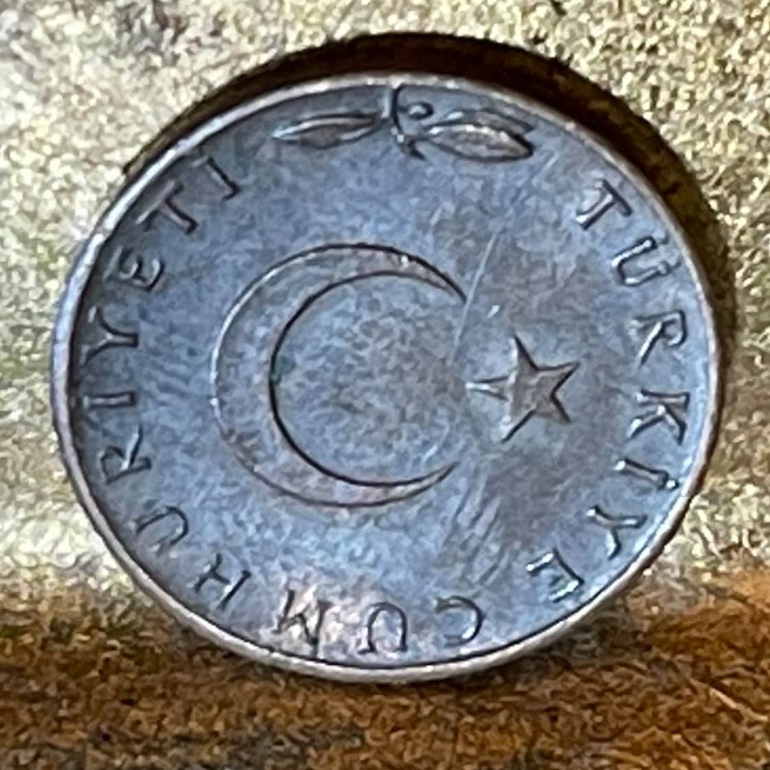 Star and Crescent Islamic Symbol Turkey 5 Kurus Oak Branch Authentic Coin Money for Jewelry and Craft Making