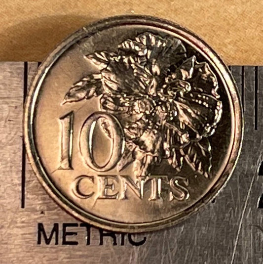 Flaming Hibiscus Trinidad & Tobago Authentic 10 Cent Coin Money for Jewelry and Craft Making