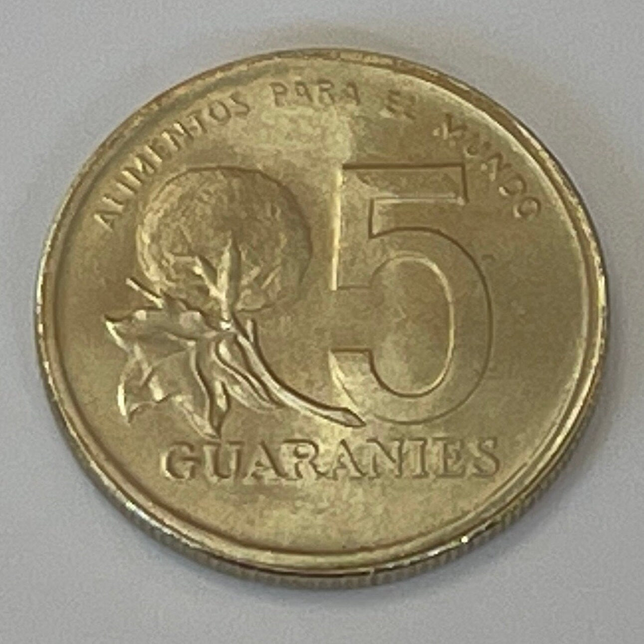 Woman w/Jug 5 Guaranies Paraguay Authentic Coin Money for Jewelry and Craft Making (Cotton Plant)
