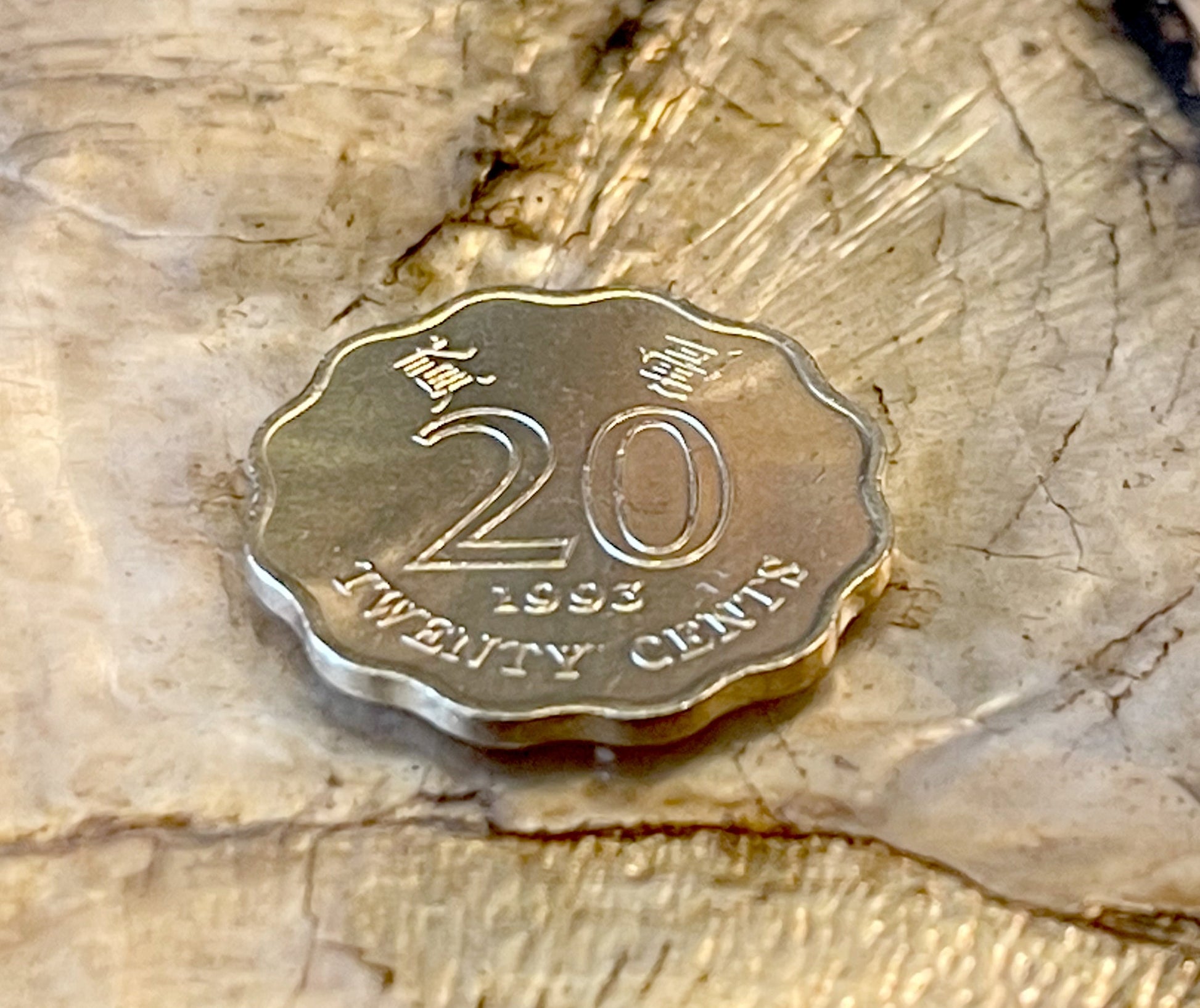 Bauhinia Orchid 20 Cent Hong Kong Authentic Coin Money for Jewelry and Craft Making