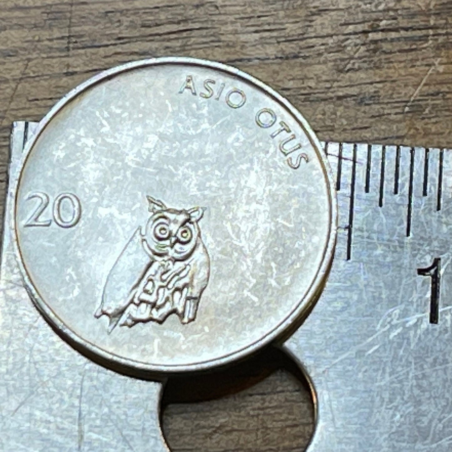 Owl 20 Stotinov Slovenia Authentic Coin Money for Jewelry and Craft Making
