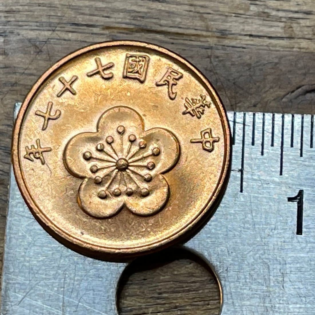 Plum Blossom Taiwan 1/2 New Dollar Authentic Coin Money for Jewelry and Craft Making (China)