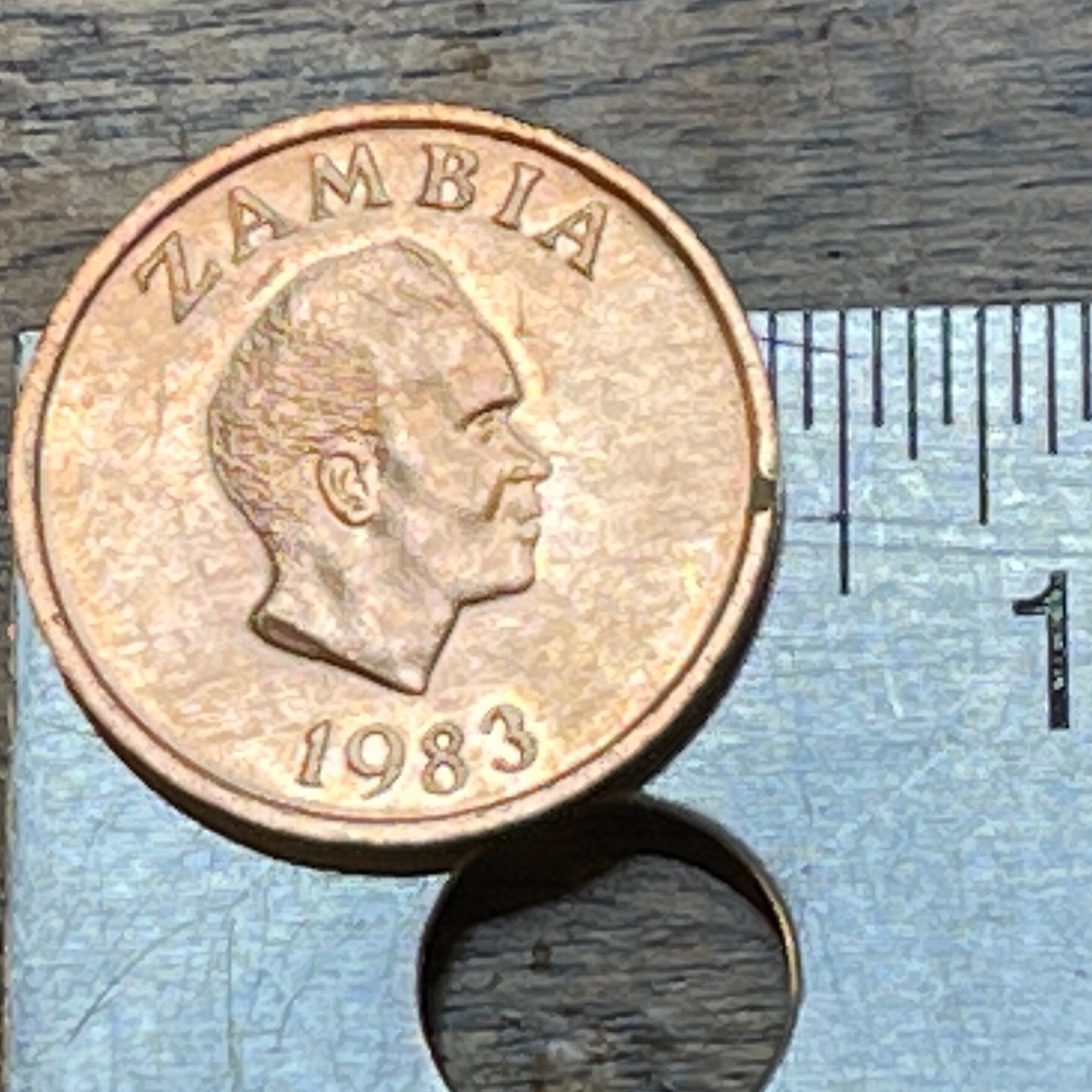 Kenneth Kaunda 1 Ngwee Zambia Authentic Coin Money for Jewelry and Craft Making (Aardvark)