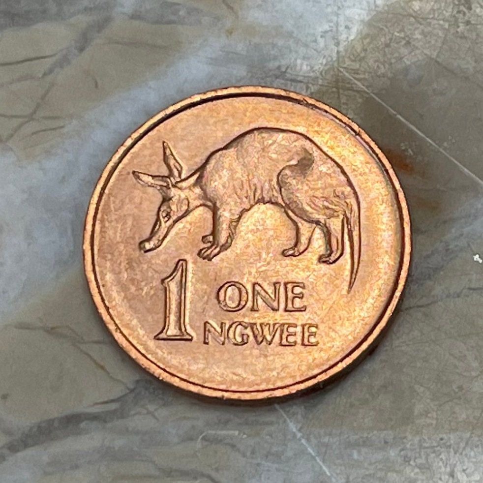 Aardvark 1 Ngwee Zambia Authentic Coin Money for Jewelry and Craft Making