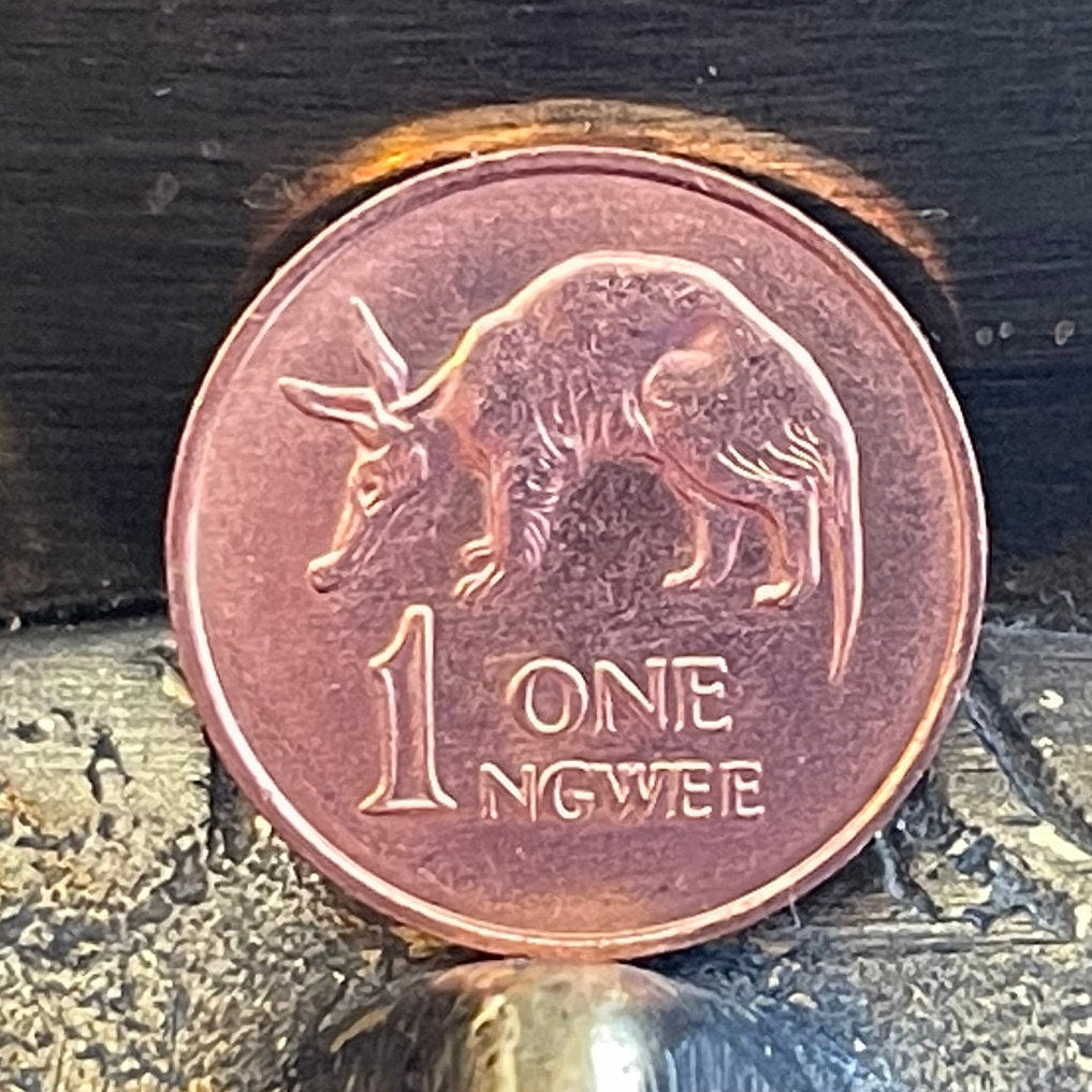 Aardvark 1 Ngwee Zambia Authentic Coin Money for Jewelry and Craft Making