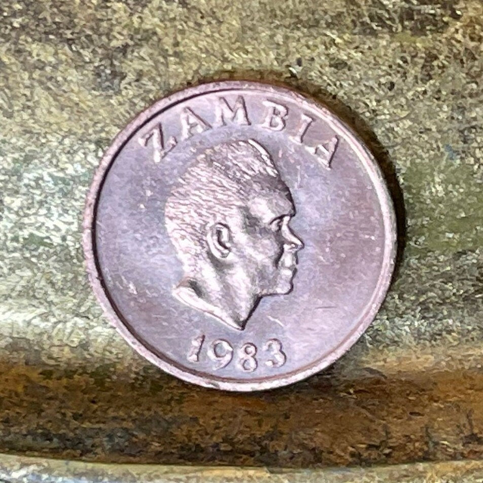 Kenneth Kaunda 1 Ngwee Zambia Authentic Coin Money for Jewelry and Craft Making (Aardvark)