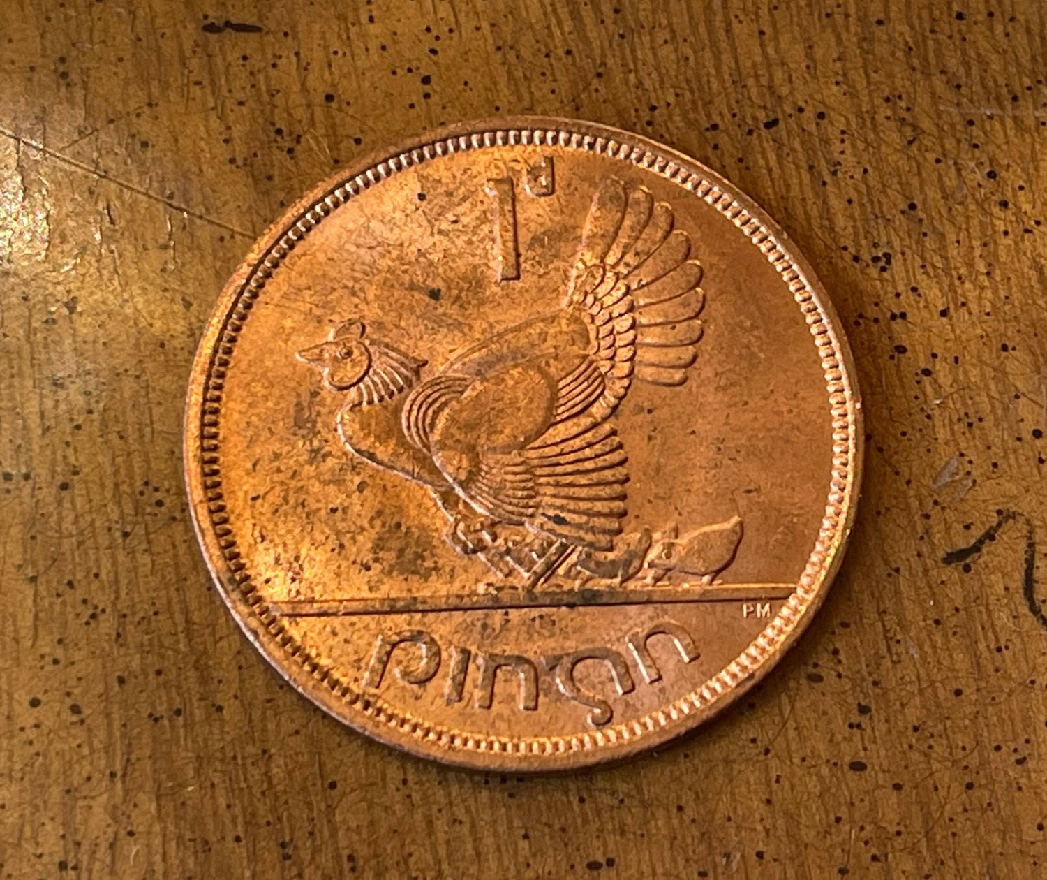 Irish Lucky Penny "Harp & Hen with Chicks" Ireland 1 Penny Authentic Coin Money for Jewelry and Craft Making
