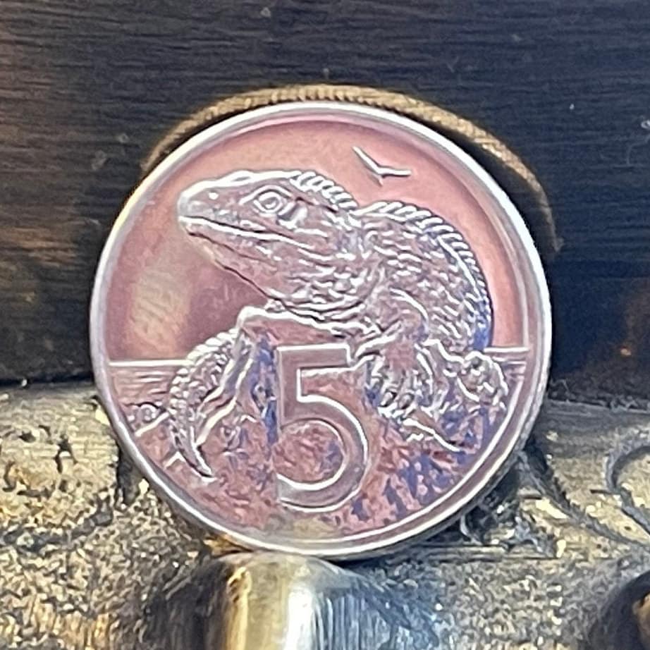 Tuatara 5 Cents New Zealand Authentic Coin Money for Jewelry and Craft Making