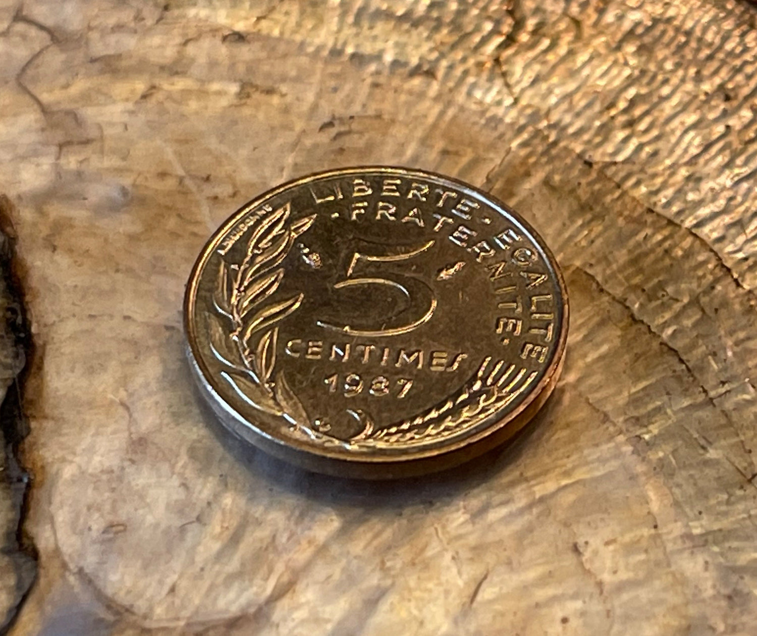 Marianne & Liberty Cap 5 Centimes French Authentic Coin Money for Jewelry and Craft Making (Phrygian Cap)