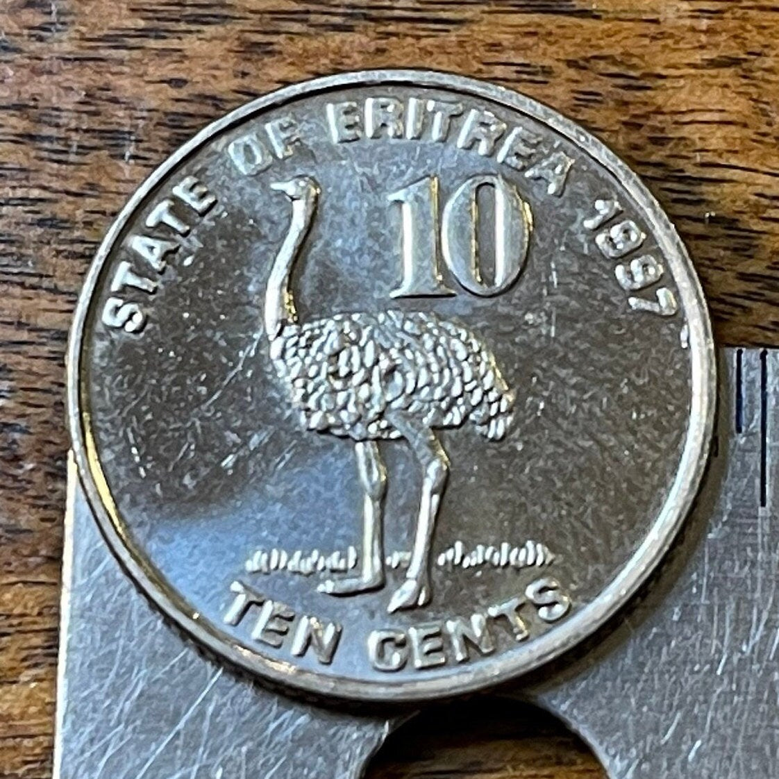 Somali Ostrich & Liberty/Equality/Justice Eritrea 10 Cents Authentic Coin Money for Jewelry and Craft Making