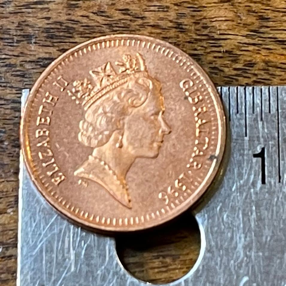 Barbary Partridge Gibraltar 1 Penny Authentic Coin Money for Jewelry and Craft Making