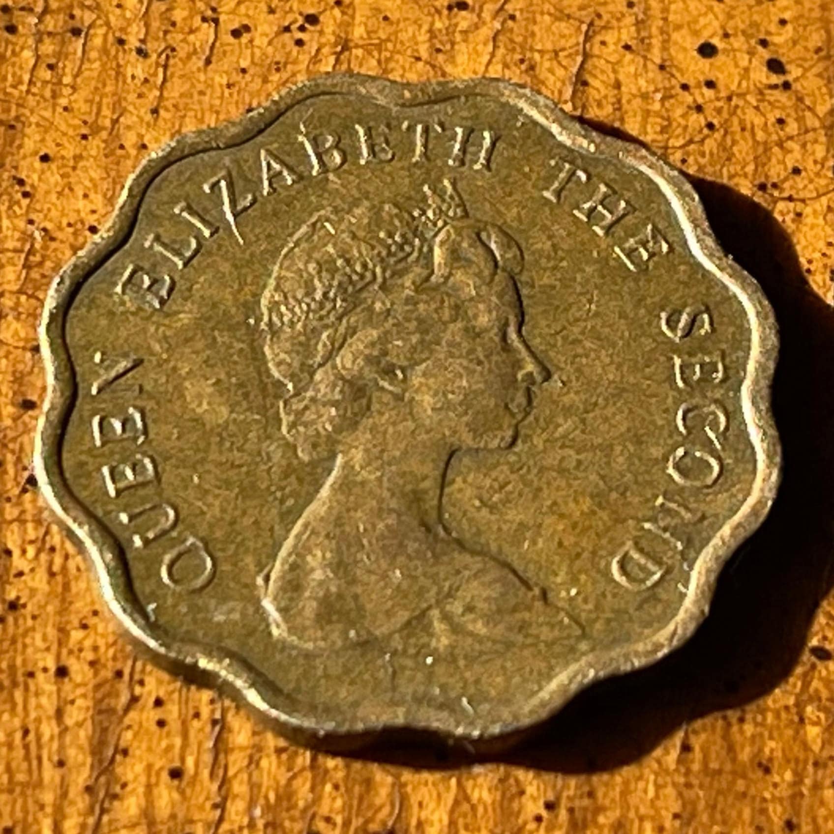 Hong Kong Scalloped Edge 20 Cents Authentic Coin Money for Jewelry and Craft Making