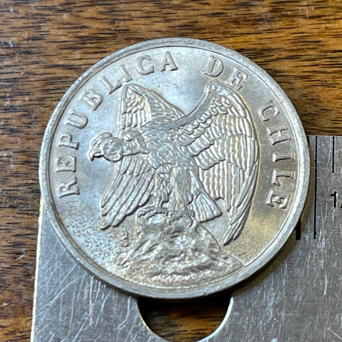 Andean Condor 1 Centavo Chile Authentic Coin Money for Jewelry and Craft Making