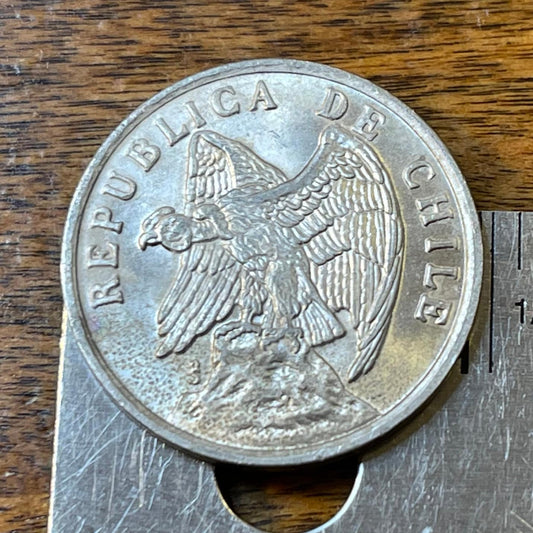 Andean Condor 1 Centavo Chile Authentic Coin Money for Jewelry and Craft Making