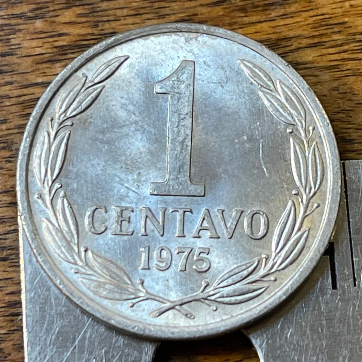 Andean Condor 1 Centavo Chile Authentic Coin Money for Jewelry and Craft Making